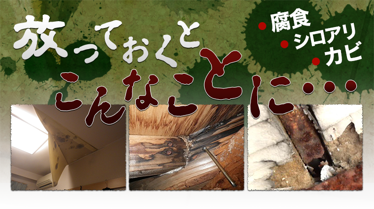 放っておくとこんあことに・・・