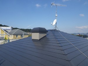 IMGP0724