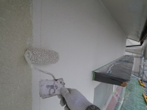 IMGP3923