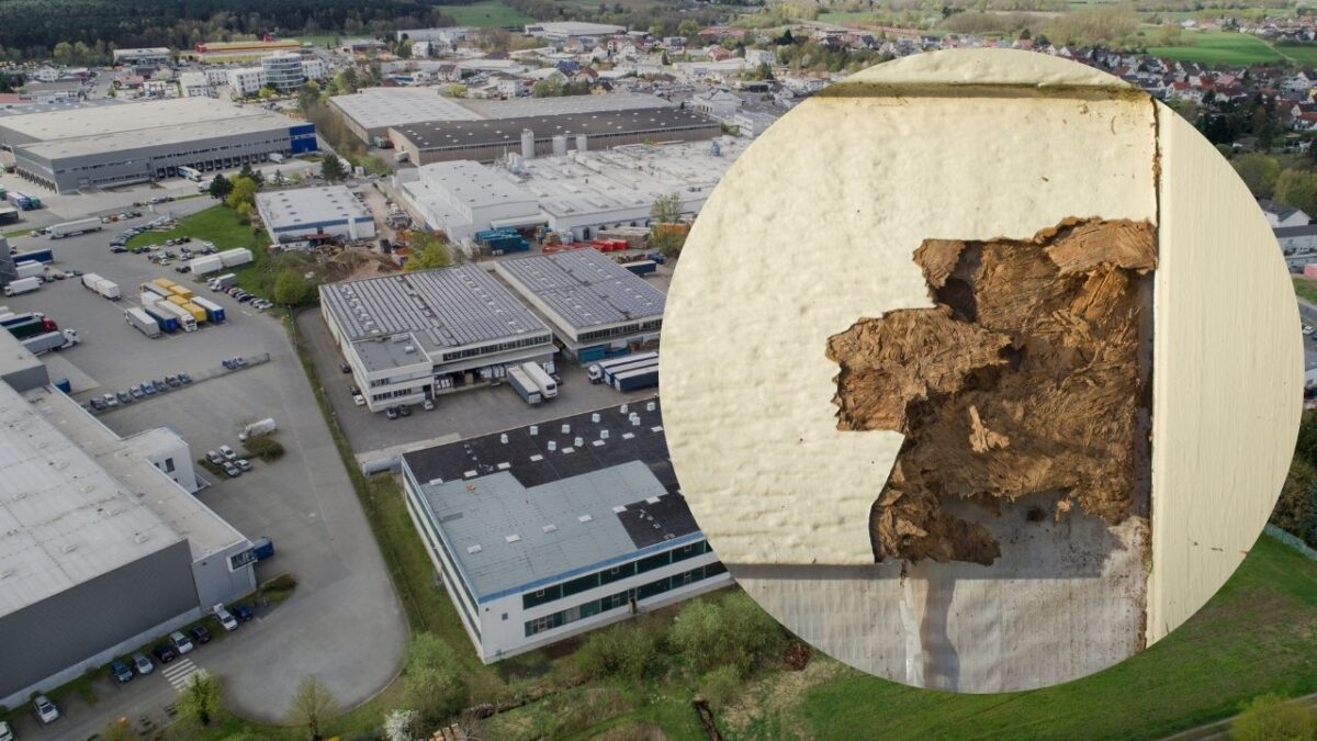 倉庫や工場におけるシロアリ被害とは
