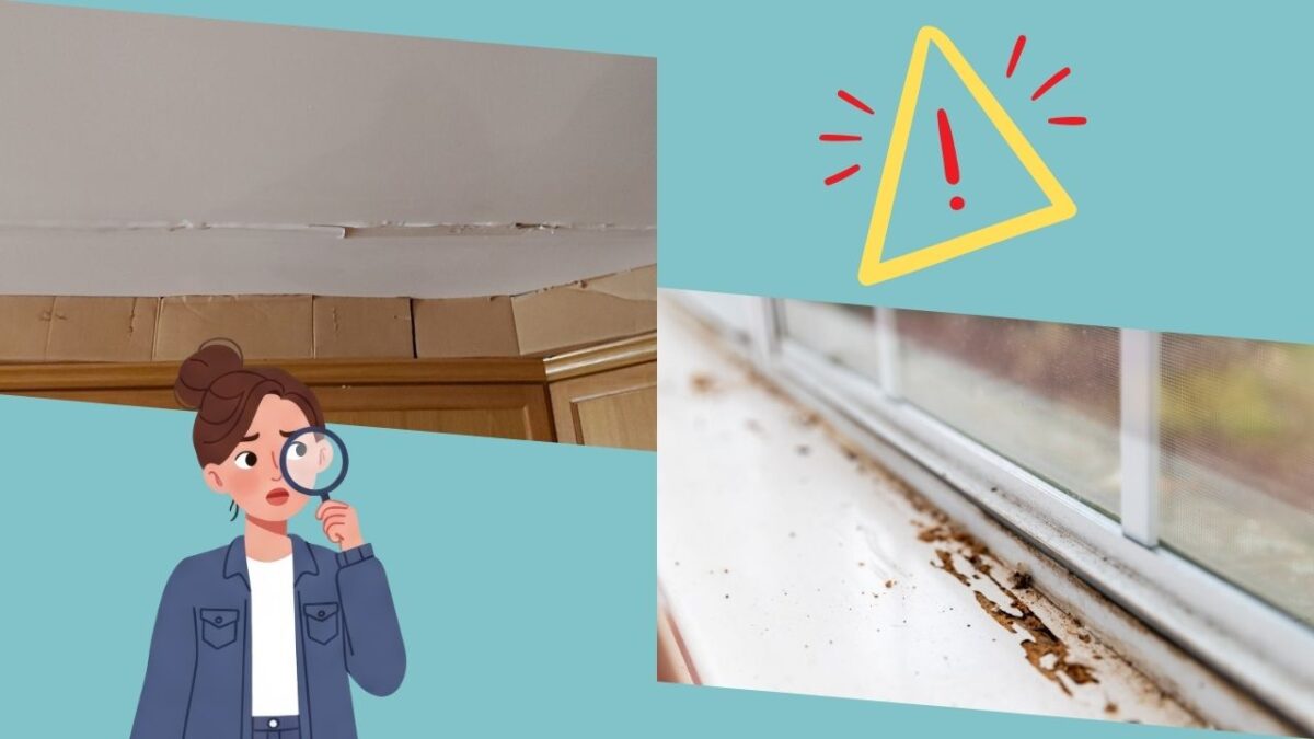 雨漏り・シロアリを見逃さないためにはサインを知ることが大切！