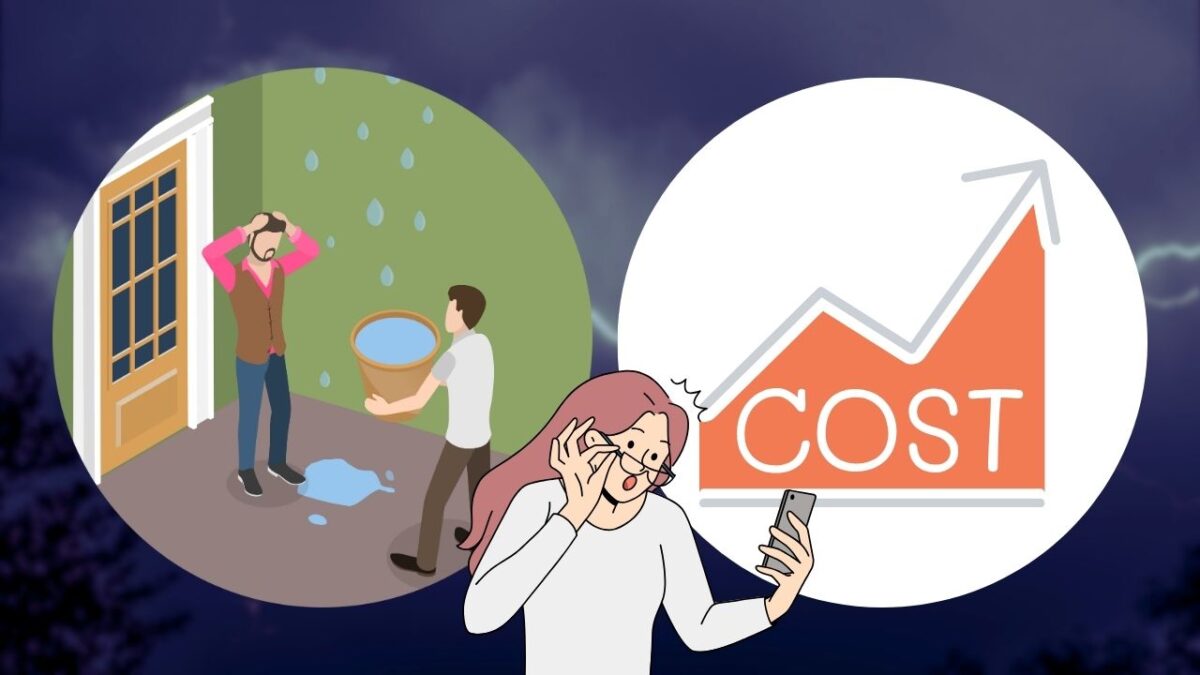 冬の雨漏りを放置すると起こるデメリット